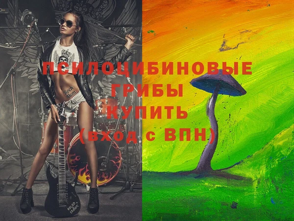 ECSTASY Армянск