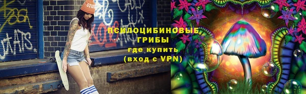 ECSTASY Армянск
