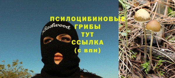 ECSTASY Армянск