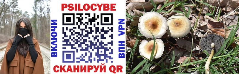 Псилоцибиновые грибы MAGIC MUSHROOMS  Мещовск 